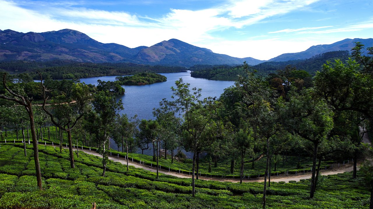 Munnar Tea Gardens